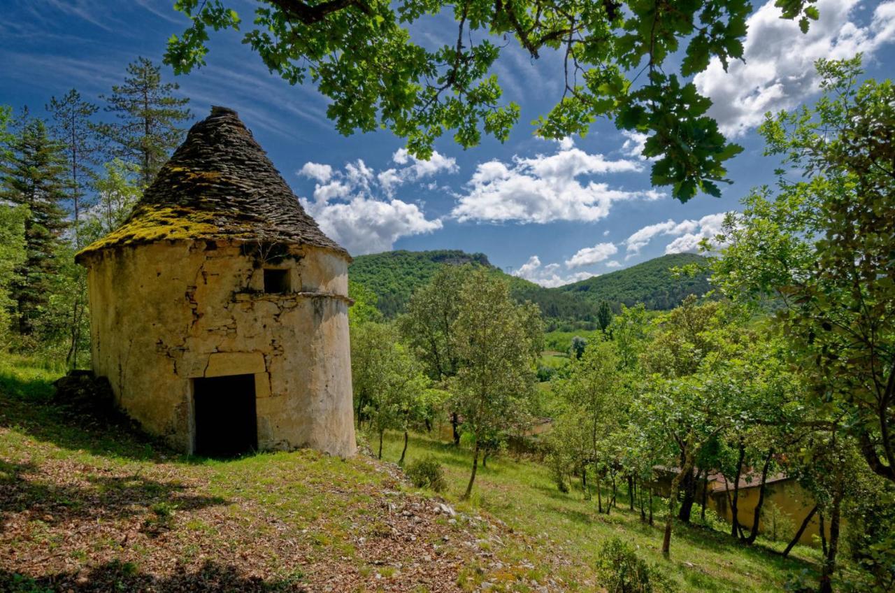La Tour De Cause Bed and Breakfast Castelnaud La Chapelle Eksteriør billede