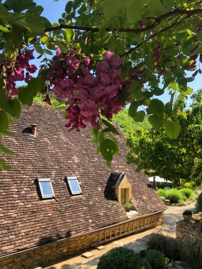 La Tour De Cause Bed and Breakfast Castelnaud La Chapelle Eksteriør billede