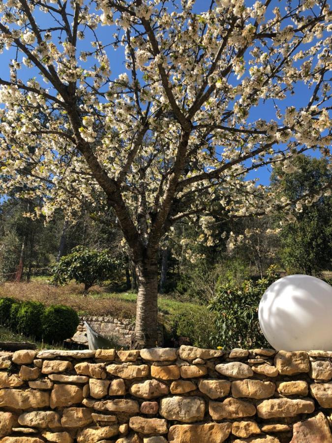 La Tour De Cause Bed and Breakfast Castelnaud La Chapelle Eksteriør billede