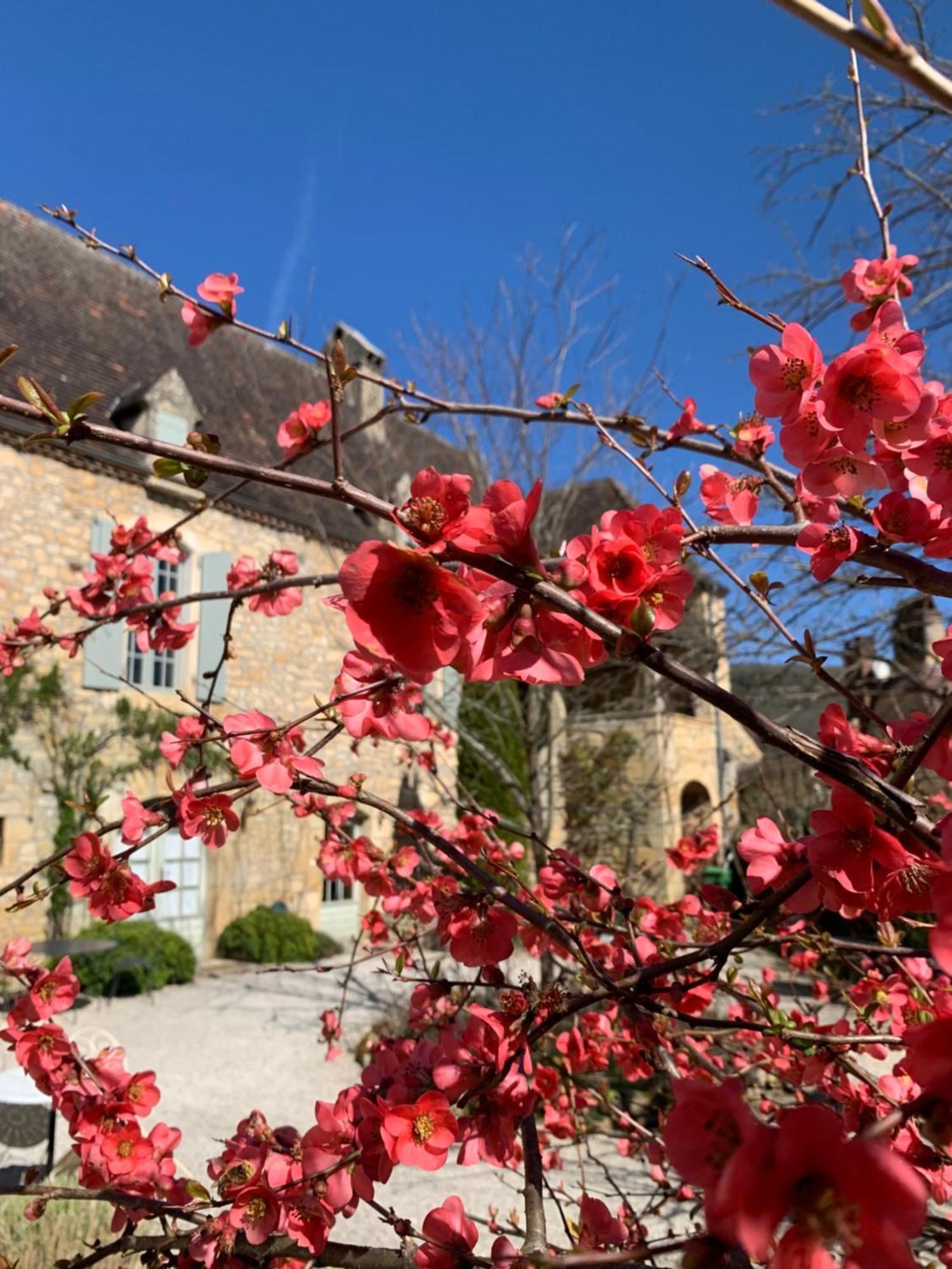 La Tour De Cause Bed and Breakfast Castelnaud La Chapelle Eksteriør billede