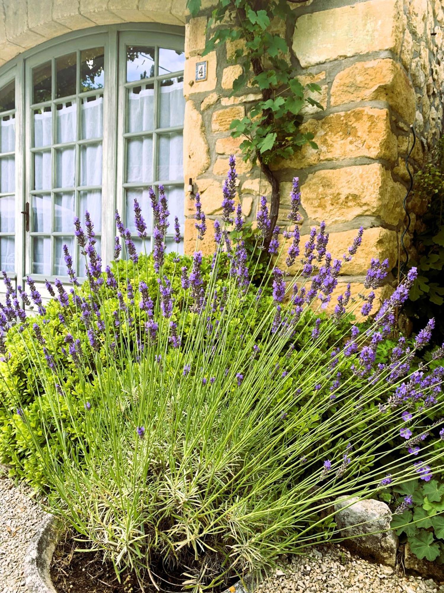 La Tour De Cause Bed and Breakfast Castelnaud La Chapelle Eksteriør billede